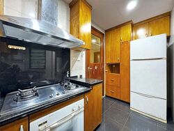 Tanglin View (D3), Condominium #544869801